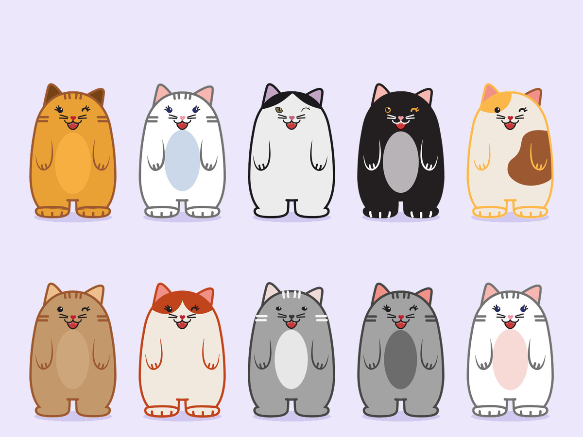 The cast: ten round cats in different coats, from orange tabby to calico and tuxedo